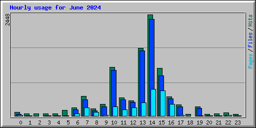 Hourly usage for June 2024