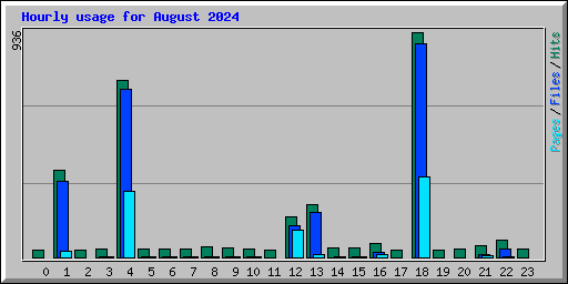 Hourly usage for August 2024