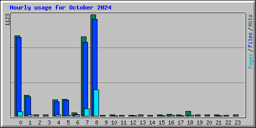 Hourly usage for October 2024